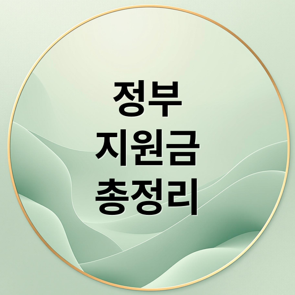 정부
지원금
총정리 (정부 지원금 확인 신청)