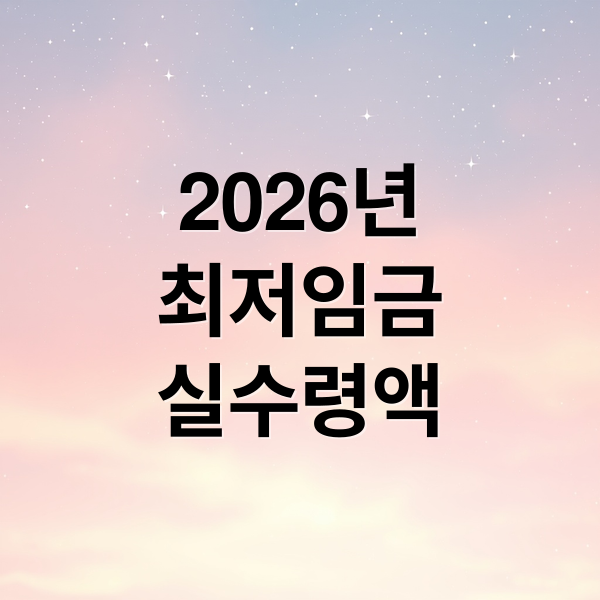 2026년
최저임금
실수령액 (2026년 최저임금 실수령액 계산기)