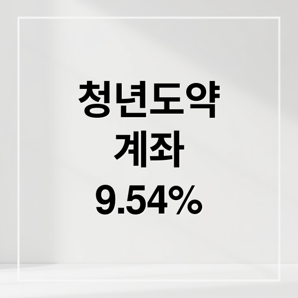 청년도약
계좌
9.54% (청년도약계좌)