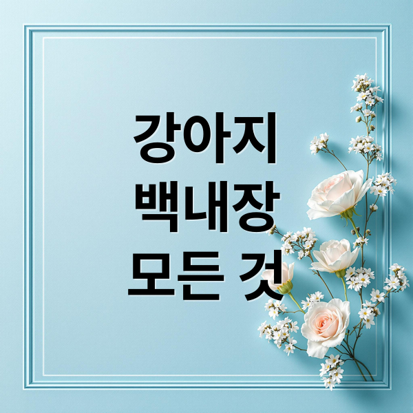 강아지
백내장
모든 것 (강아지 백내장)