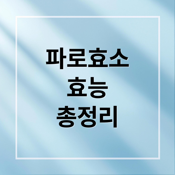 파로효소
효능
총정리 (파로효소 효능 부작용 섭취방법)