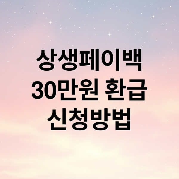 상생페이백
30만원 환급
신청방법 (상생페이백 신청, 조회)