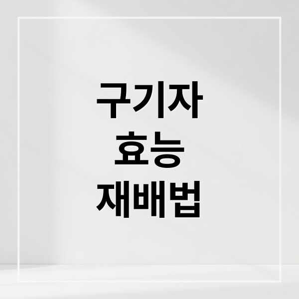 구기자
효능
재배법 (구기자 묘목 수확시기 효능 부작용)