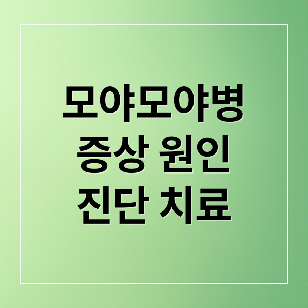 모야모야병
증상 원인
진단 치료 (모야모야병)