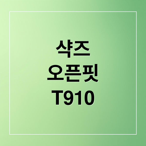 샥즈
오픈핏
T910 (샥즈 오픈핏 T910)