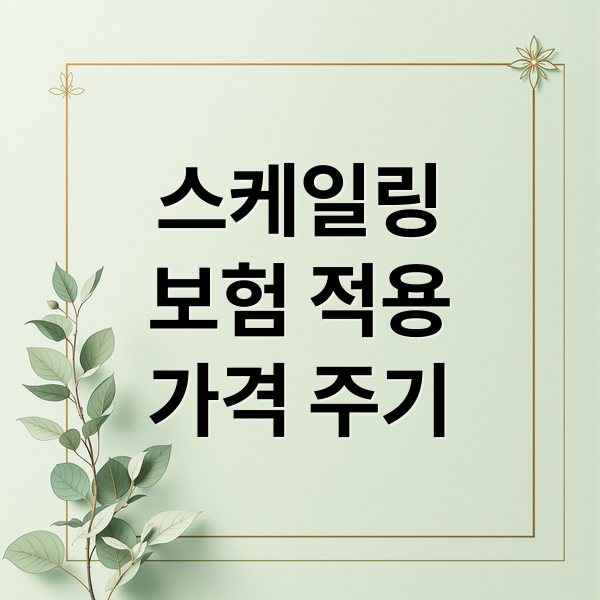 스케일링
보험 적용
가격 주기 (스케일링 비용 의료보험 1만원대 가격 횟수)