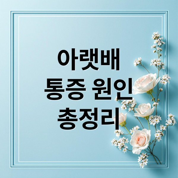아랫배
통증 원인
총정리 (아랫배 통증 원인)