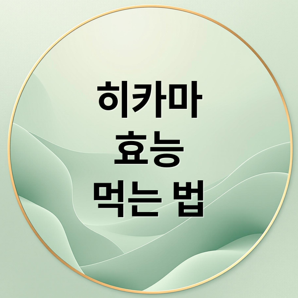 히카마
효능
먹는 법 (히카마 효능 부작용 먹는법)