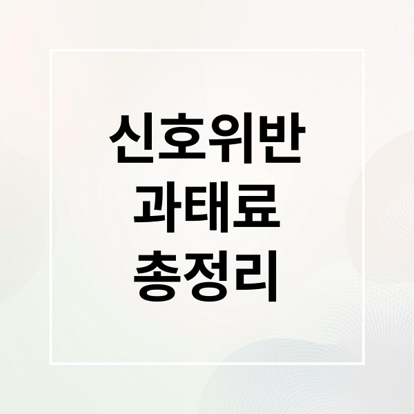 신호위반
과태료
총정리 (신호위반 과태료 이의신청)