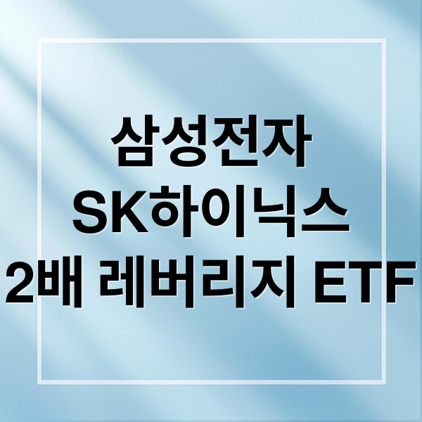 삼성전자
SK하이닉스
2배 레버리지 ETF (삼성전자 하이닉스 2배 레버리지 ETF)