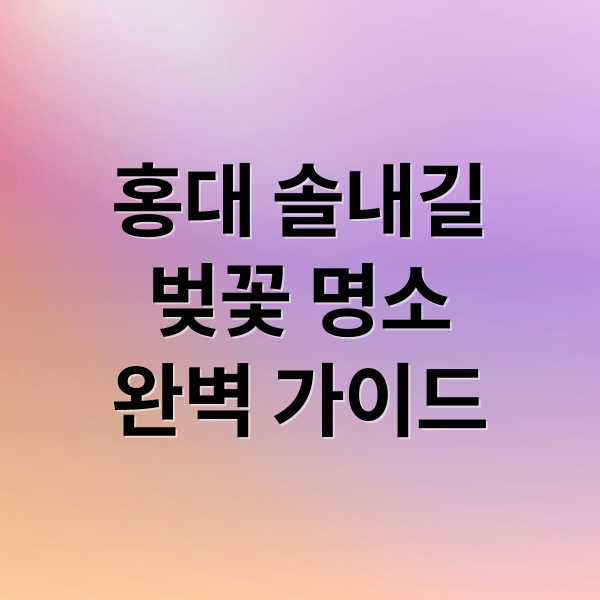 홍대 솔내길
벚꽃 명소
완벽 가이드 (홍대 솔내길, 벚꽃길 명소)