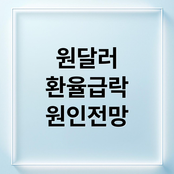 원달러
환율급락
원인전망 (원달러 환율 급락 한국은행 유동성 확대)