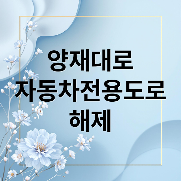 양재대로
자동차전용도로
해제 (양재대로 자동차전용도로 해제)