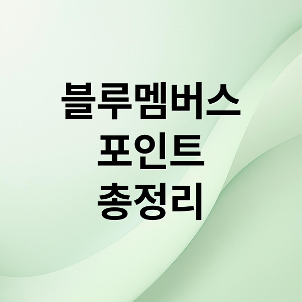 블루멤버스
포인트
총정리 (현대자동차 블루멤버스 포인트 조회)