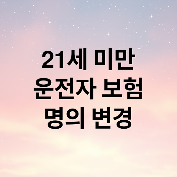 21세 미만
운전자 보험
명의 변경 (자동차 보험 명의 인수 21세)