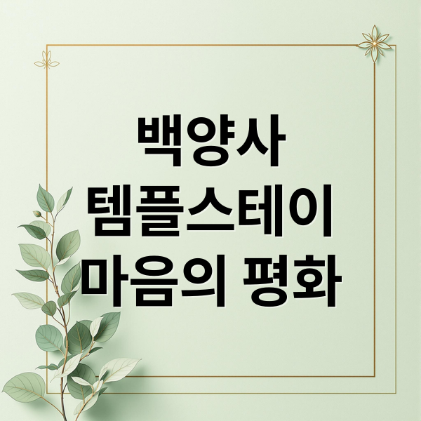 백양사
템플스테이
마음의 평화 (백양사 템플스테이)