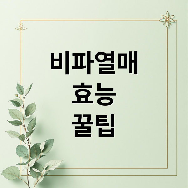 비파열매
효능
꿀팁 (비파열매 효능 먹는법)