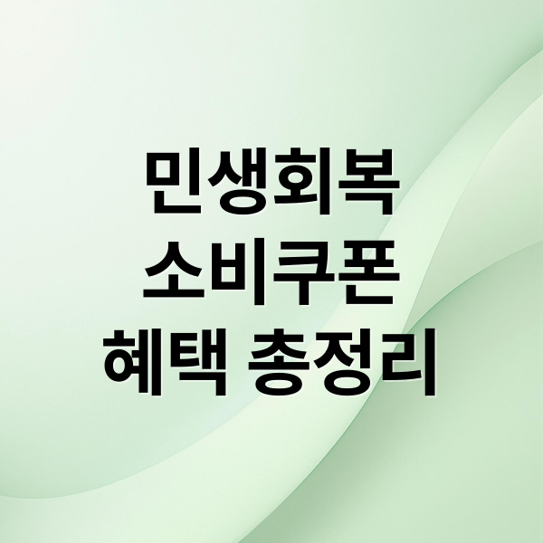 민생회복
소비쿠폰
혜택 총정리 (민생회복 소비쿠폰)