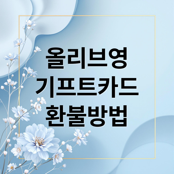 올리브영
기프트카드
환불방법 (올리브영 기프트카드 환불)