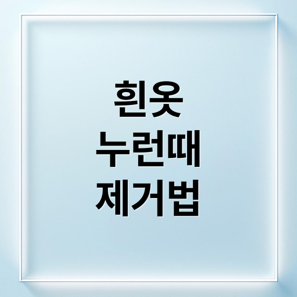 흰옷
누런때
제거법 (흰옷 누런때 지우기)