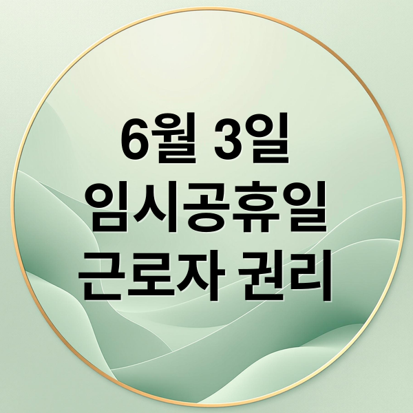 6월 3일
임시공휴일
근로자 권리 (6월 3일 임시공휴일)