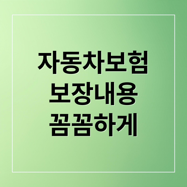 자동차보험
보장내용
꼼꼼하게 (자동차 보험 보장내용 만기일 확인)