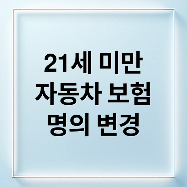 21세 미만
자동차 보험
명의 변경 (자동차 보험 명의 인수 21세)