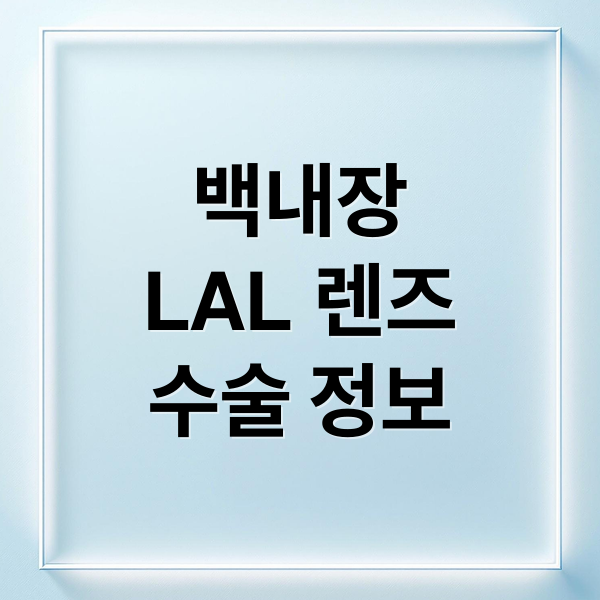 백내장 LAL 렌즈 수술 상담받는 중년 환자와 의사 모습