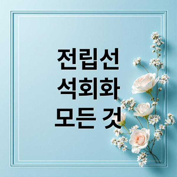전립선
석회화
모든 것 (전립선 석회화 치료법)