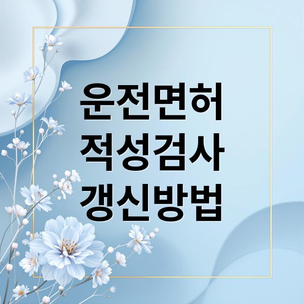 운전면허
적성검사
갱신방법 (운전면허 적성검사 갱신 모바일 운전면허증)