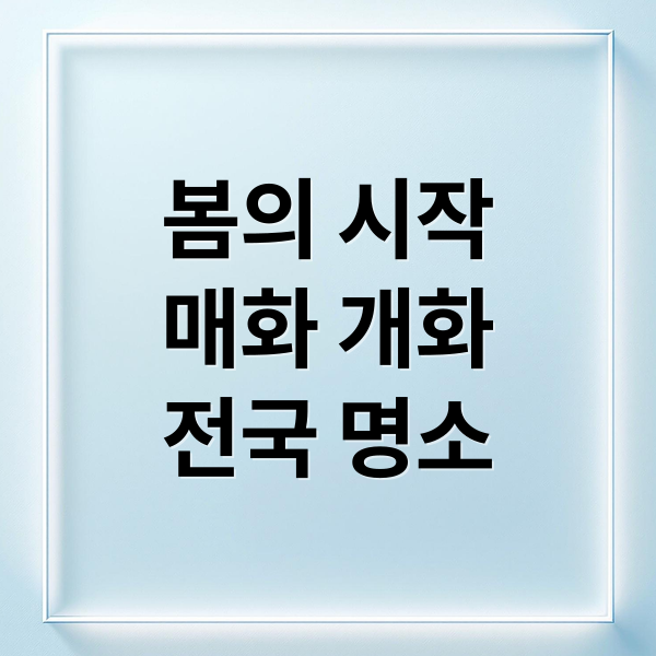 봄의 시작
매화 개화
전국 명소 (매화꽃 개화 시기 명소)