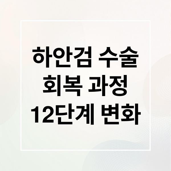 하안검 수술
회복 과정
12단계 변화 (하안검 수술 회복 기간 12가지)