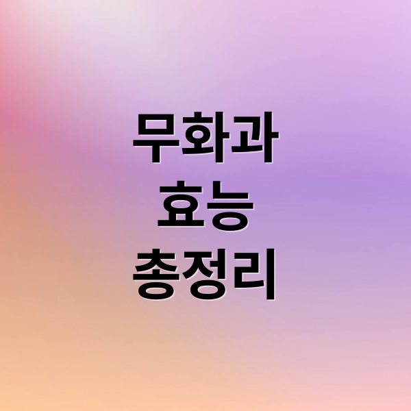 무화과
효능
총정리 (무화과 효능)