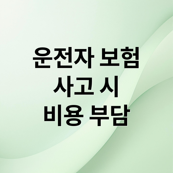 운전자 보험
사고 시
비용 부담 (운전자 보험 가입 이유)