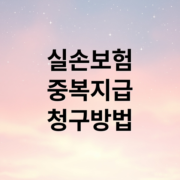 실손보험
중복지급
청구방법 (실손보험 청구방법 중복지급)