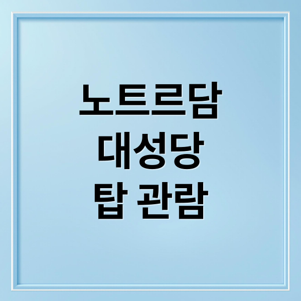 노트르담
대성당
탑 관람 (파리 노트르담 대성당 탑 관람 재개)