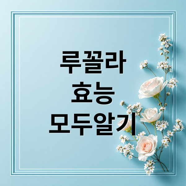 루꼴라
효능
모두알기 (루꼴라 효능)