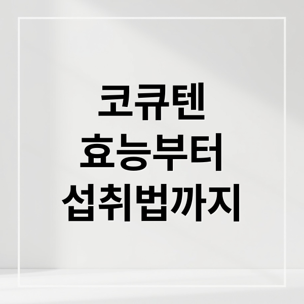 코큐텐
효능부터
섭취법까지 (코큐텐 효능 및 부작용)