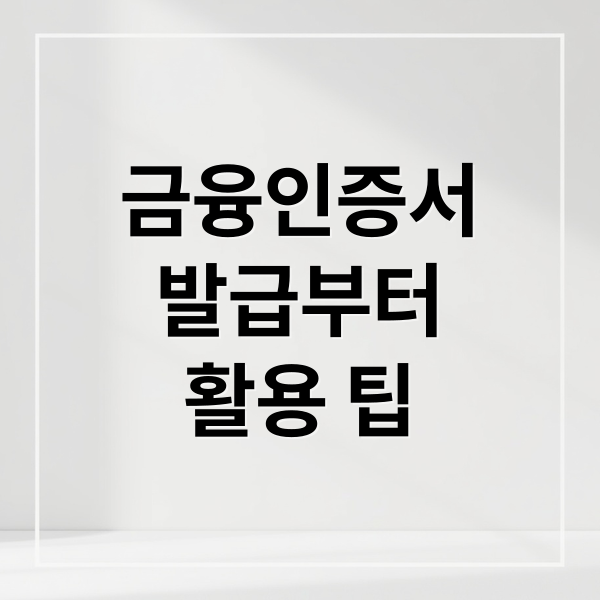 금융인증서
발급부터
활용 팁 (금융인증서 발급 방법)
