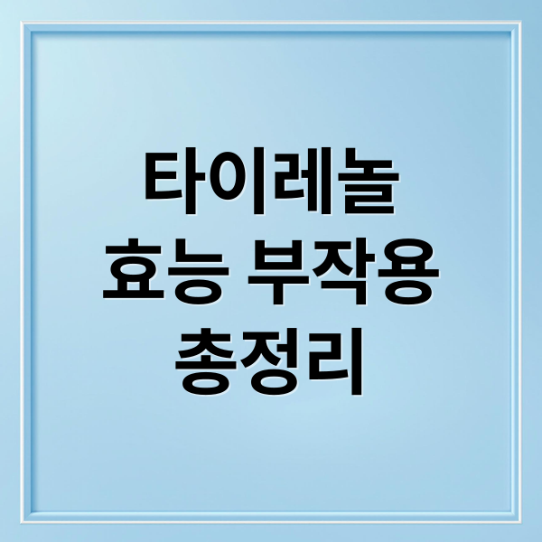 타이레놀
효능 부작용
총정리 (타이레놀)