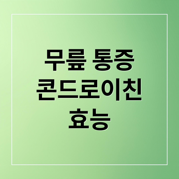 무릎 통증
콘드로이친
효능 (콘드로이친 효능 부작용)