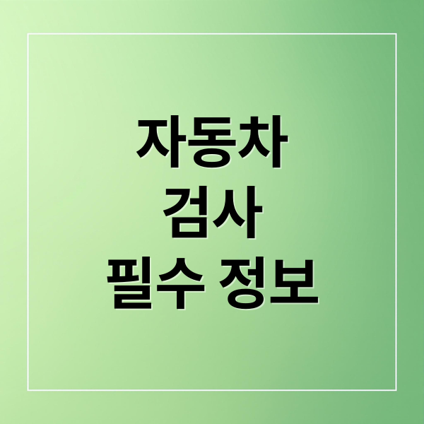 자동차
검사
필수 정보 (자동차 검사)