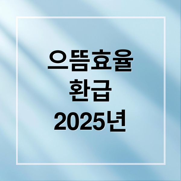 으뜸효율
환급
2025년 (으뜸 효율 환급 사이트)