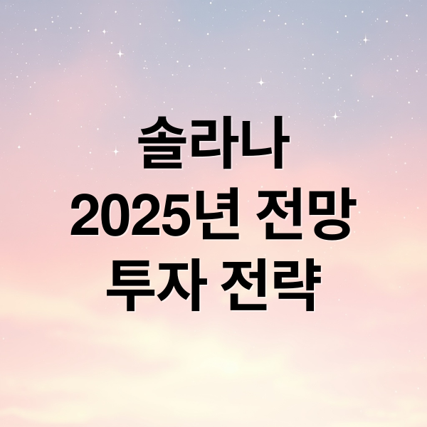 솔라나
2025년 전망
투자 전략 (솔라나 코인 2025년 투자 전망)