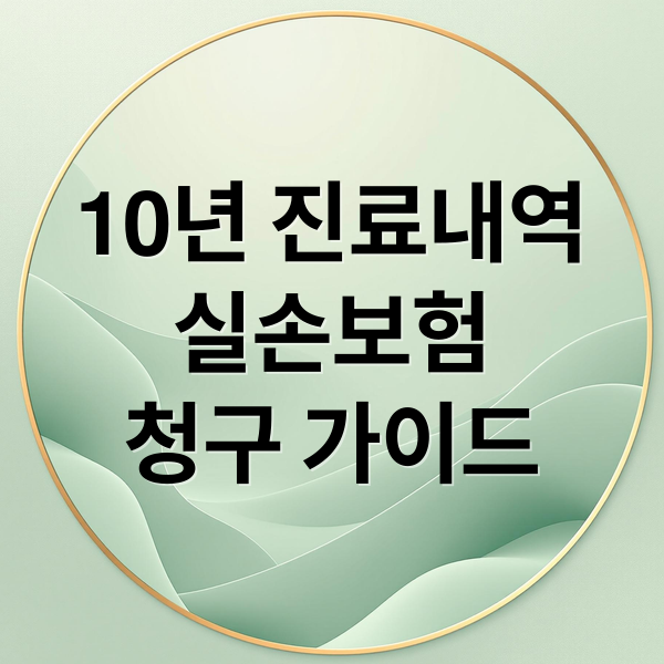 10년 진료내역
실손보험
청구 가이드 (병원 진료내역 10년 발급 실손보험)