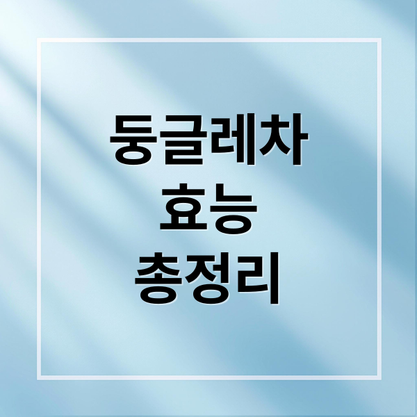 둥글레차
효능
총정리 (둥글레차 효능)