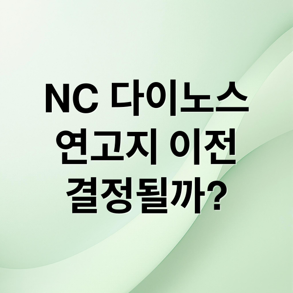 NC 다이노스
연고지 이전
결정될까? (NC 다이노스 성남시 연고 이전)