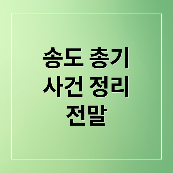 송도 총기
사건 정리
전말 (송도 총기 사건)