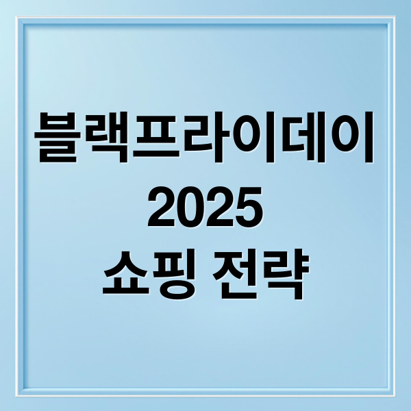 블랙프라이데이
2025
쇼핑 전략 (블랙프라이데이 할인)