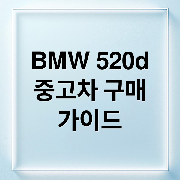 BMW 520d
중고차 구매
가이드 (중고 BMW 520d 구매 가이드)